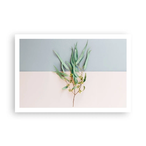 Plakát - Pastelová jemnost - 91x61 cm