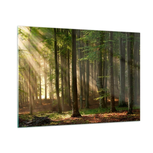 Obraz na skle - Rozzářený v jarním ránu - 100x70 cm