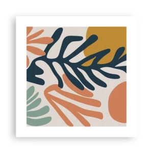 Plakát - Korálová moře - 40x40 cm