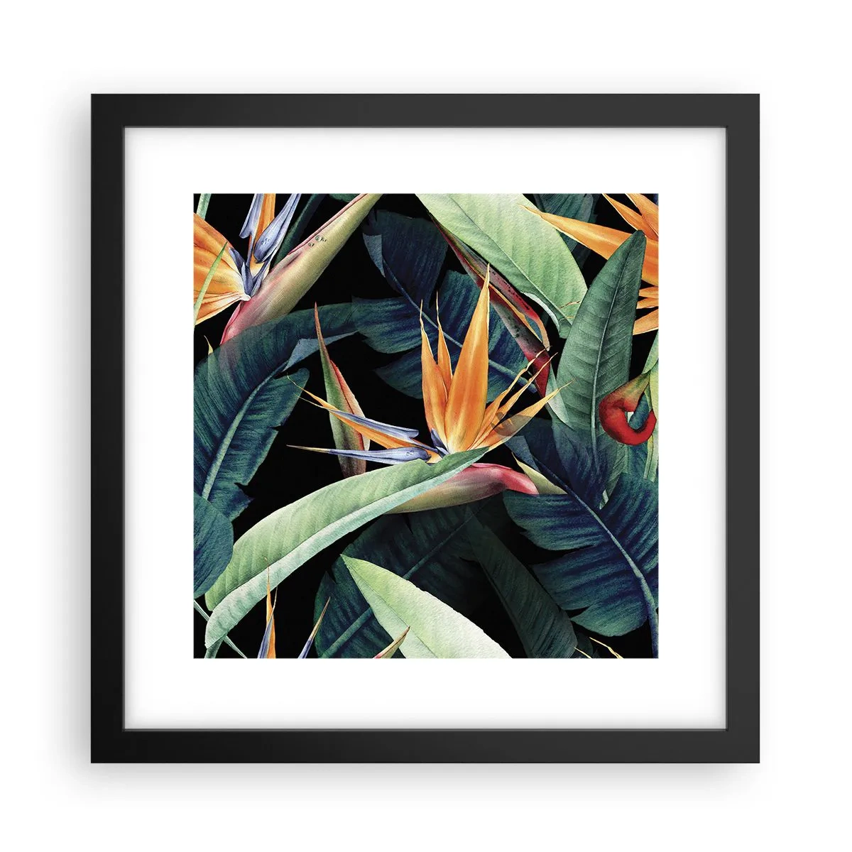 Plakát v černém rámu - Plamenné květy tropů - 30x30 cm