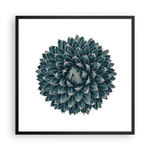 Plakát v černém rámu - Hvězda pouště - 60x60 cm