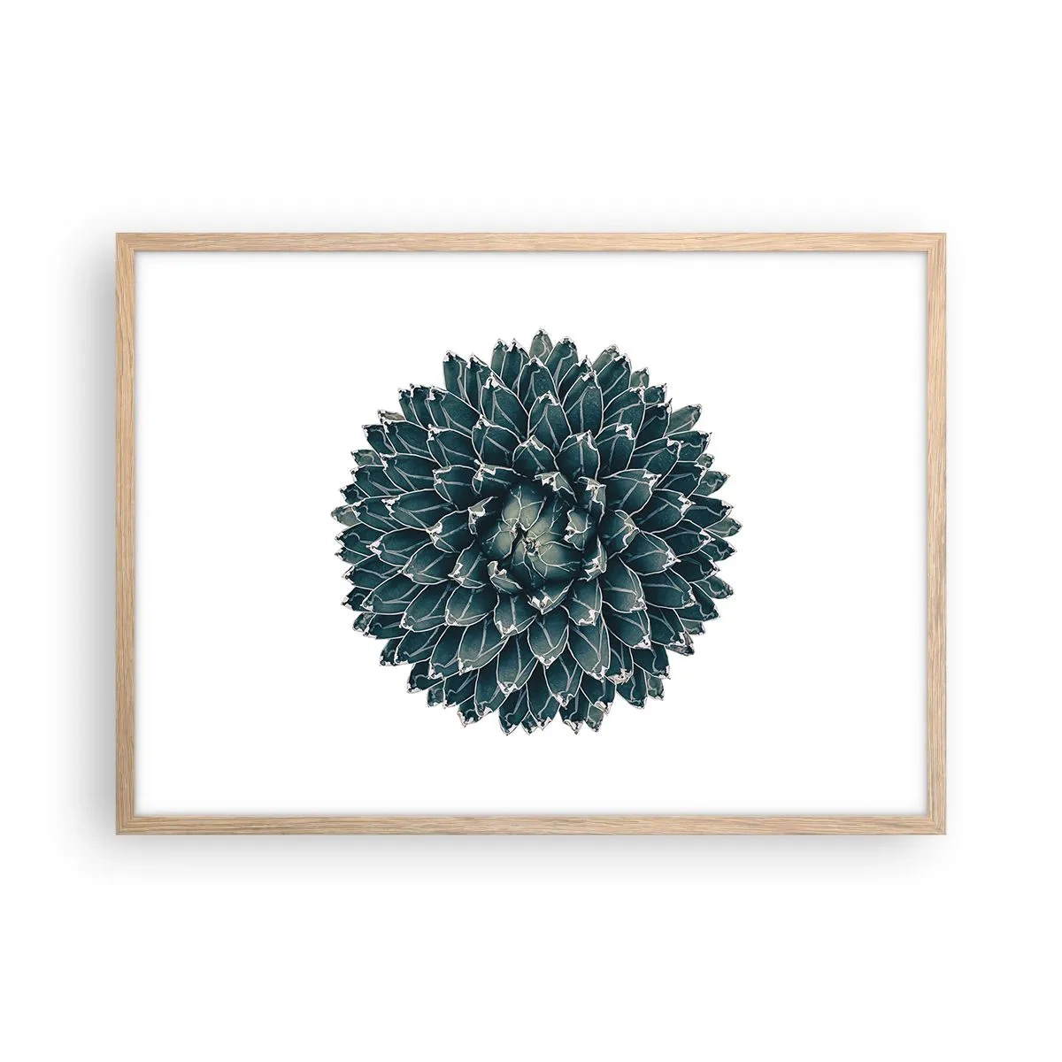 Plakát v rámu světlý dub - Hvězda pouště - 70x50 cm