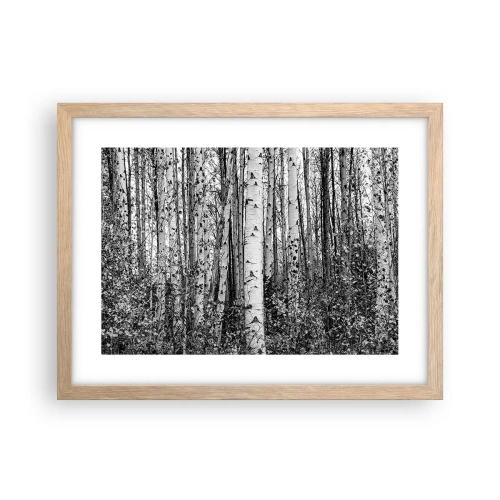 Plakát v rámu světlý dub - Březová kolonáda - 40x30 cm