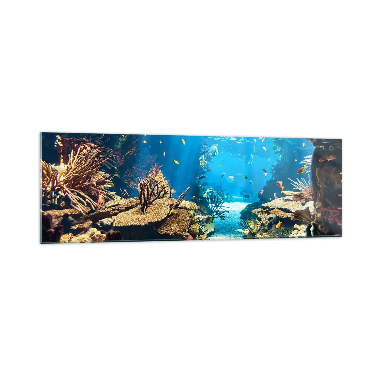 Obraz na skle - Ani ve snu tě to nenapadlo - 160x50 cm