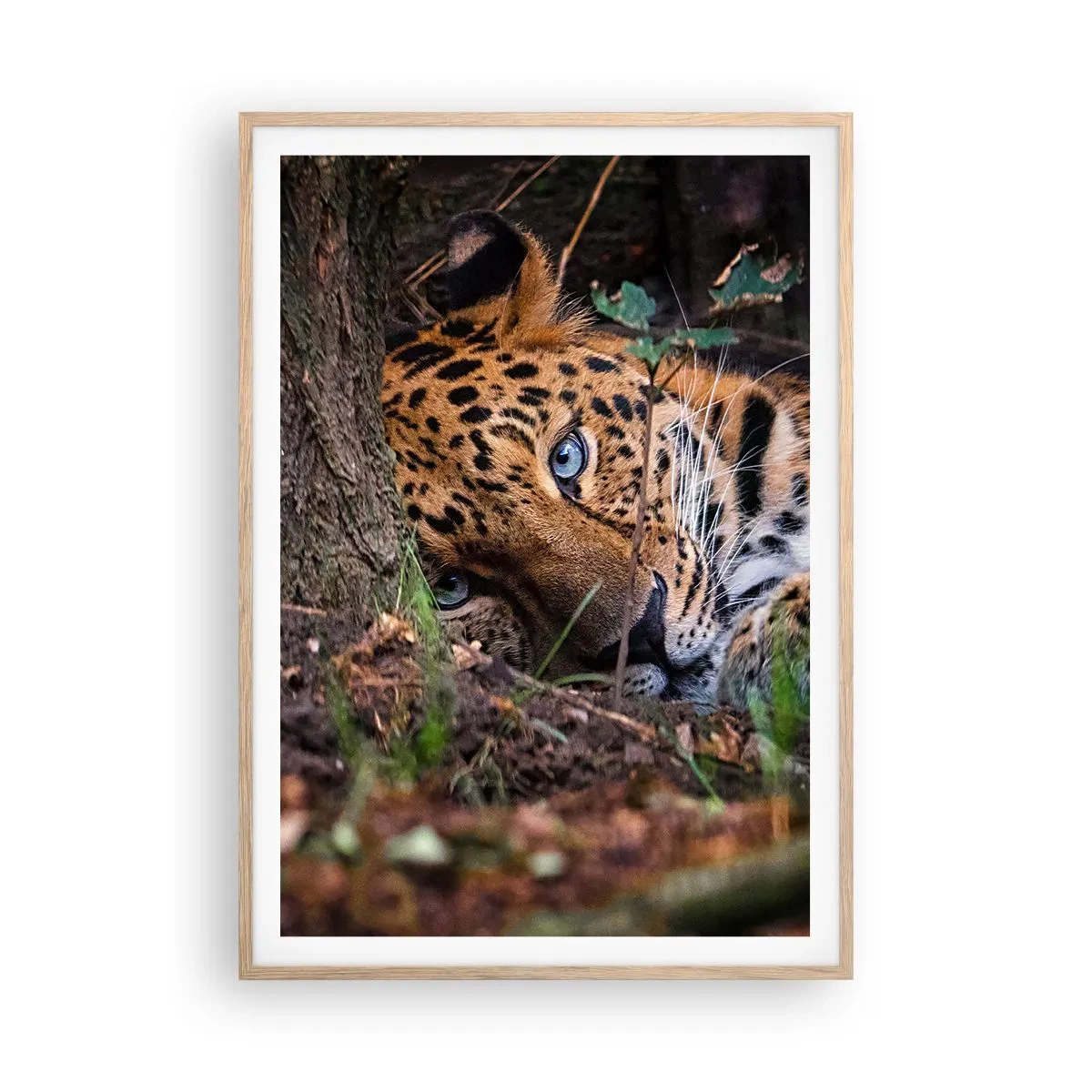 Plakát v rámu světlý dub - Věř mi - 70x100 cm