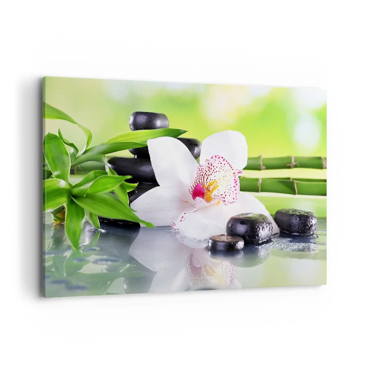 Obraz na plátně - Chladná svěžest - 100x70 cm