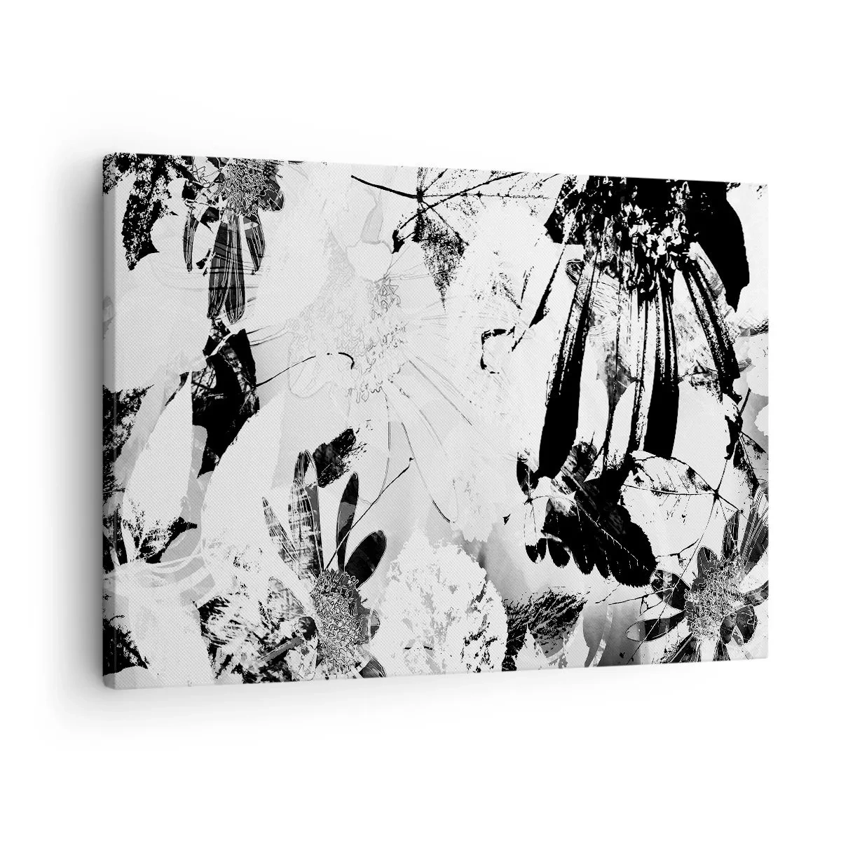 Obraz na plátně - Černobílé abstraktní květiny v minimalistickém stylu - 70x50cm - Podzim v negativu - Moderní nástěnná dekorace do obývacího pokoje a ložnice ARTTOR