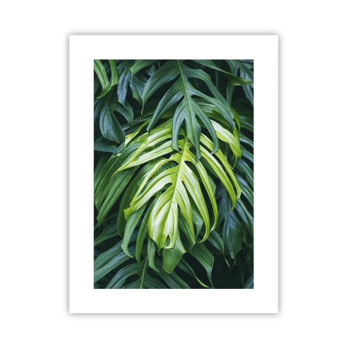 Plakát - Ponořit se do svěžesti - 30x40 cm