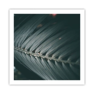 Plakát - Přesnost přírody - 60x60 cm