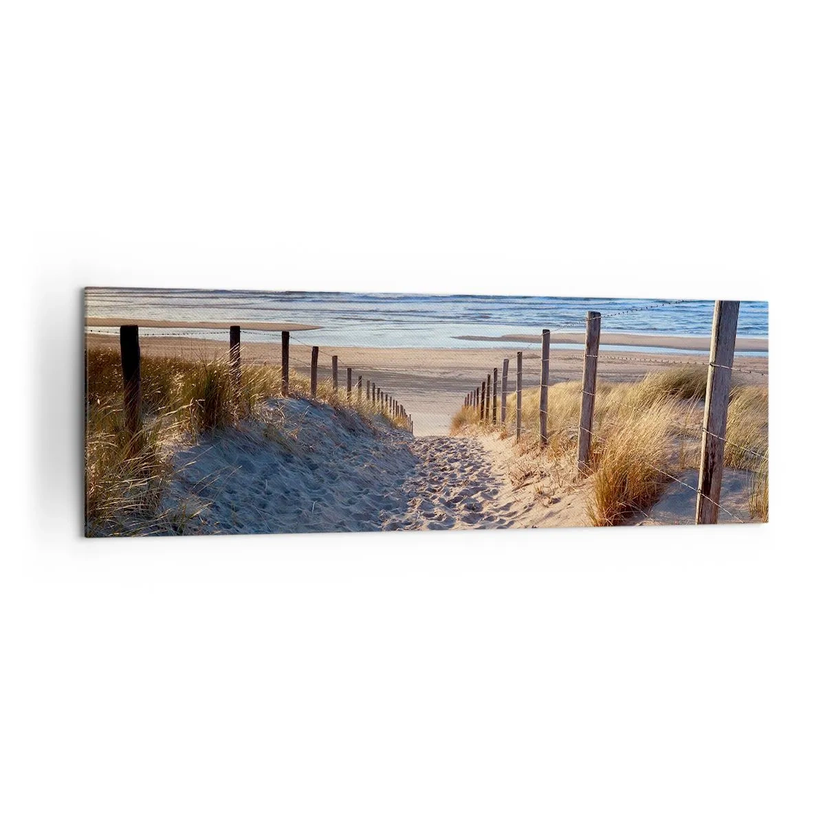 Obraz na plátně - Šumění moře, zpěv ptáků, divoká pláž uprostřed trávy… - 160x50 cm