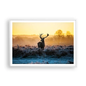 Plakát v bílém rámu - Korunován na svém panství - 100x70 cm