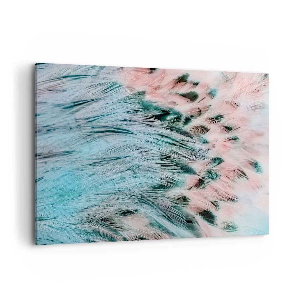 Obraz na plátně - Safírově růžové chmýří - 120x80 cm