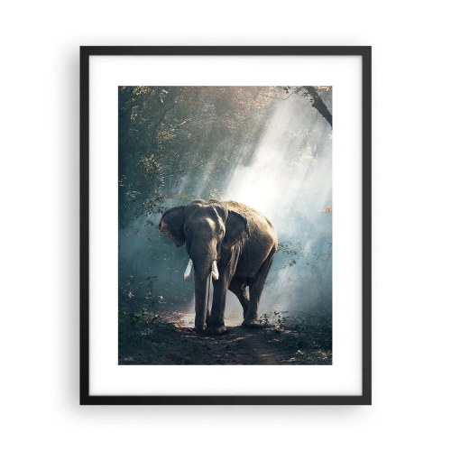 Plakát v černém rámu - Klidná procházka - 40x50 cm