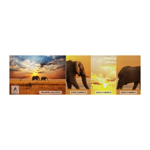 Vzor Fototapety Premium Sand - Rodinná procházka - Zvířata, Afrika, Slon - 100x30 cm