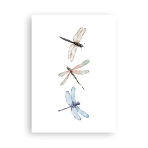 Plakát - Beztížné vážky - 50x70 cm