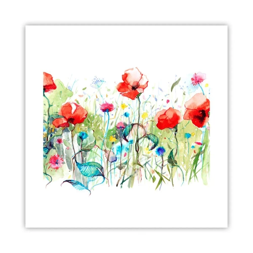 Plakát - Kvetoucí louka v květnu - 40x40 cm