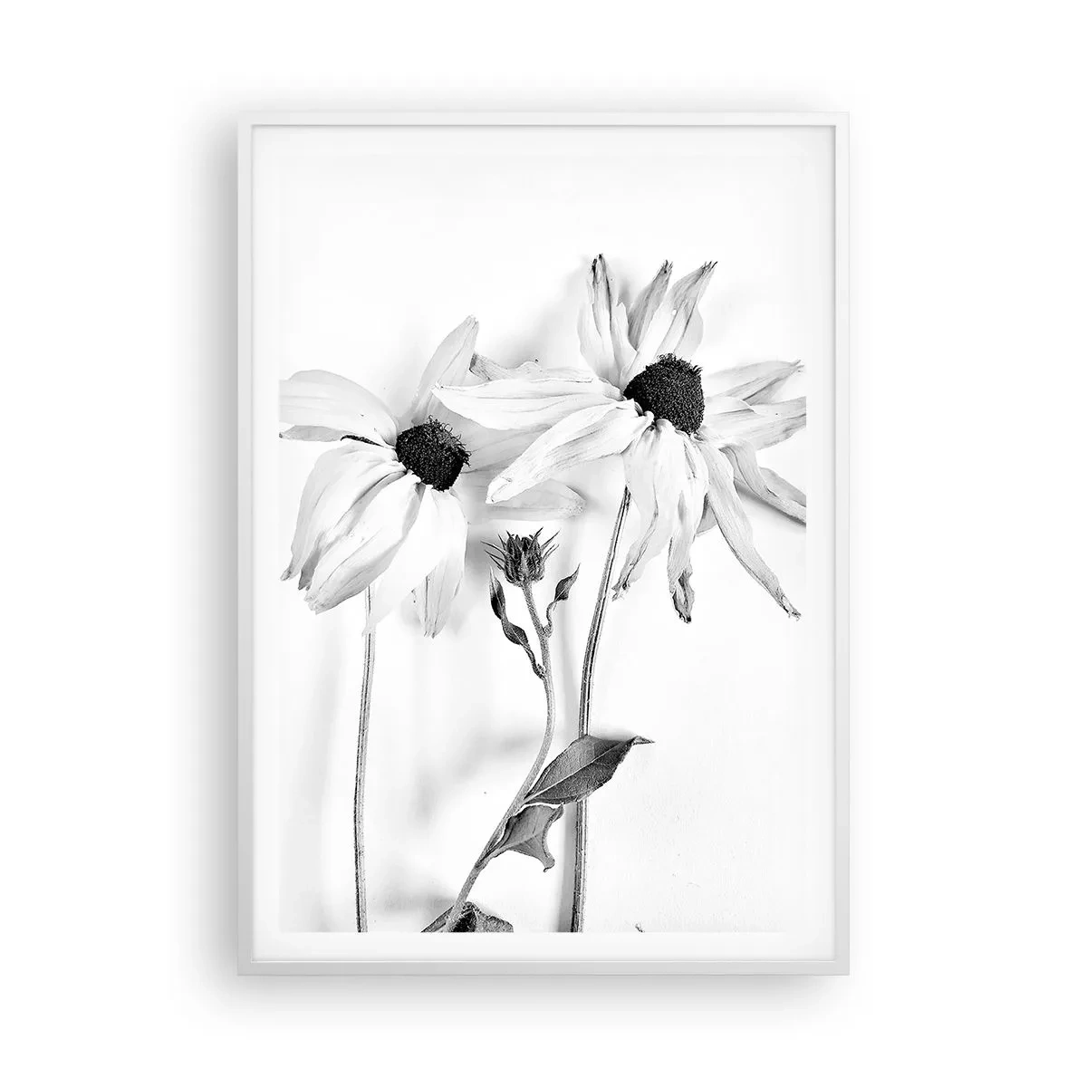 Plakát v bílém rámu - Nikdo nechce být sám - 70x100 cm