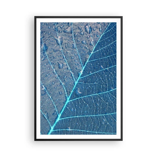 Plakát v černém rámu - Život v modři - 70x100 cm