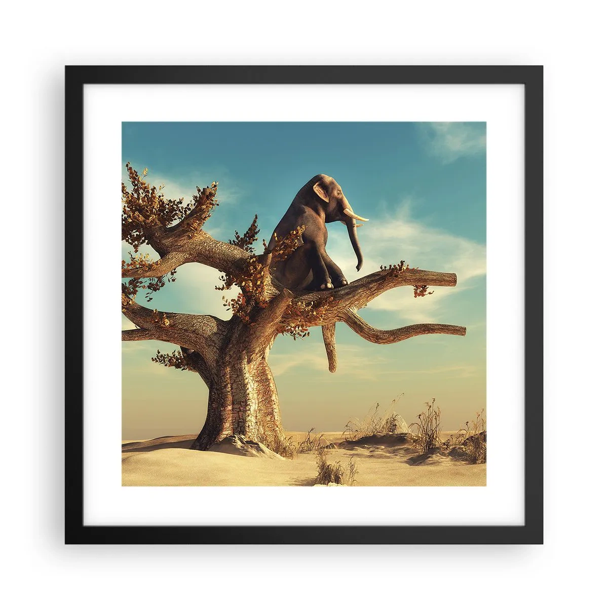 Plakát v černém rámu - Nový úhel pohledu - 40x40 cm