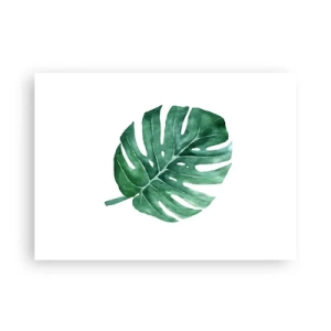 Plakát - Zelený koncept - 70x50 cm