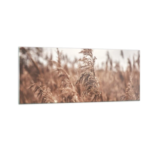 Obraz na skle - Na polích už je podzim - 100x40 cm