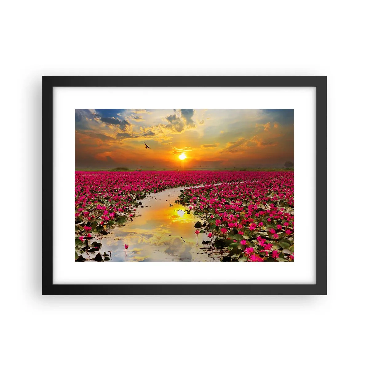 Plakát v černém rámu - Tajemný život jezera - 40x30 cm