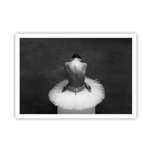 Plakát - Právě kvete - 100x70 cm