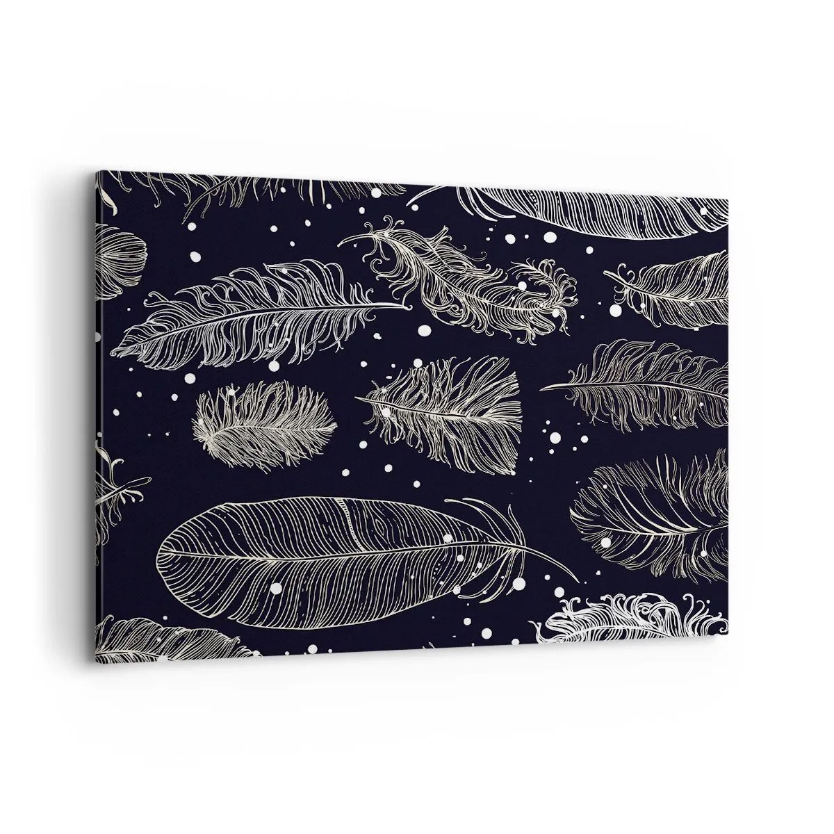 Obraz na plátně - Krajka s peřím - 100x70 cm