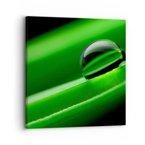 Obraz na plátně - Život z blízka - 30x30 cm