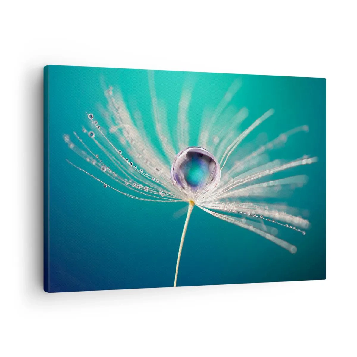 Obraz na plátně - Makro kapky vody na jemném semínku pampelišky - 70x50cm - Mystický okamžik - Moderní nástěnná dekorace do obývacího pokoje a ložnice ARTTOR