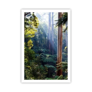 Plakát - Povídka lesa - 61x91 cm