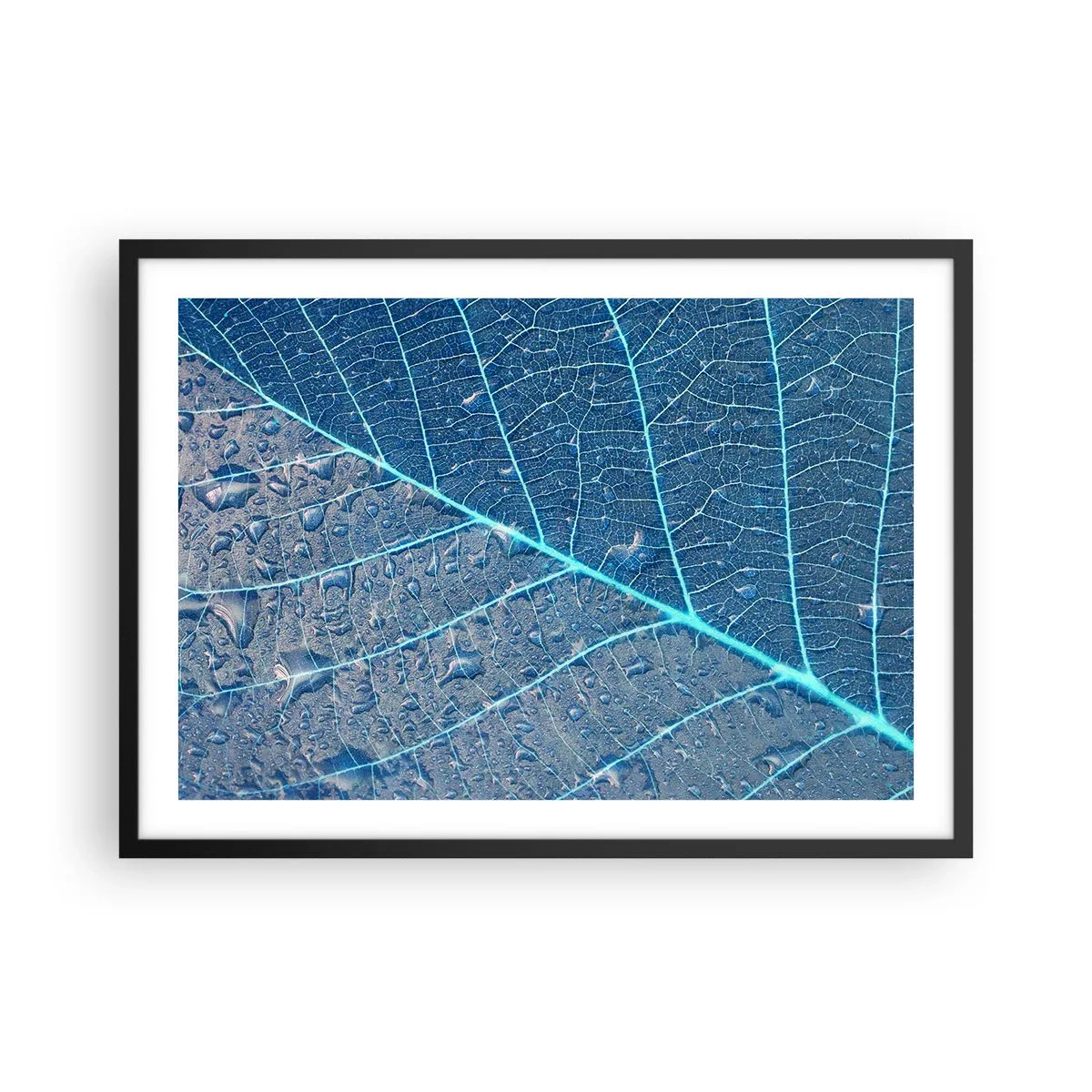 Plakát v černém rámu - Život v modři - 70x50 cm