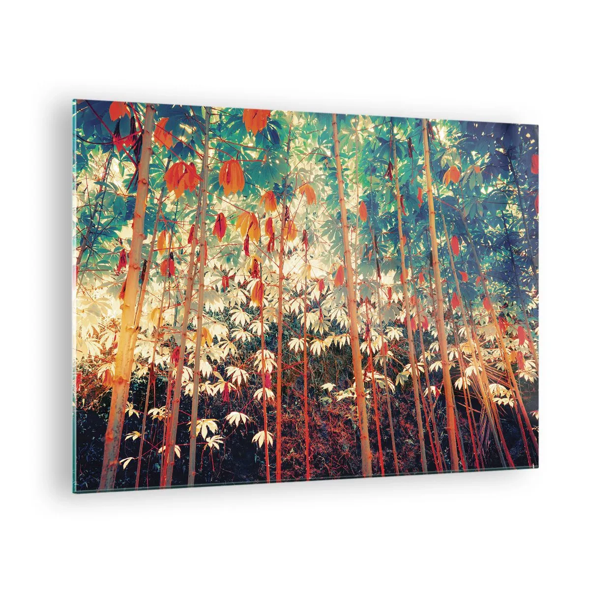Obraz na skle - Barevný bambusový les s teplým osvětlením - 70x50cm - Tajný život listů - Moderní nástěnná dekorace do obývacího pokoje a ložnice ARTTOR