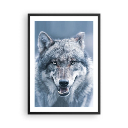 Plakát v černém rámu - Portrét vlka proti zimní krajině - 50x70cm - Přijmete tuto výzvu? - Moderní nástěnná dekorace do obývacího pokoje a ložnice ARTTOR