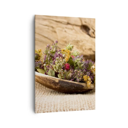 Obraz na plátně - Barevné kvítí a voňavé bylinky - 70x100 cm