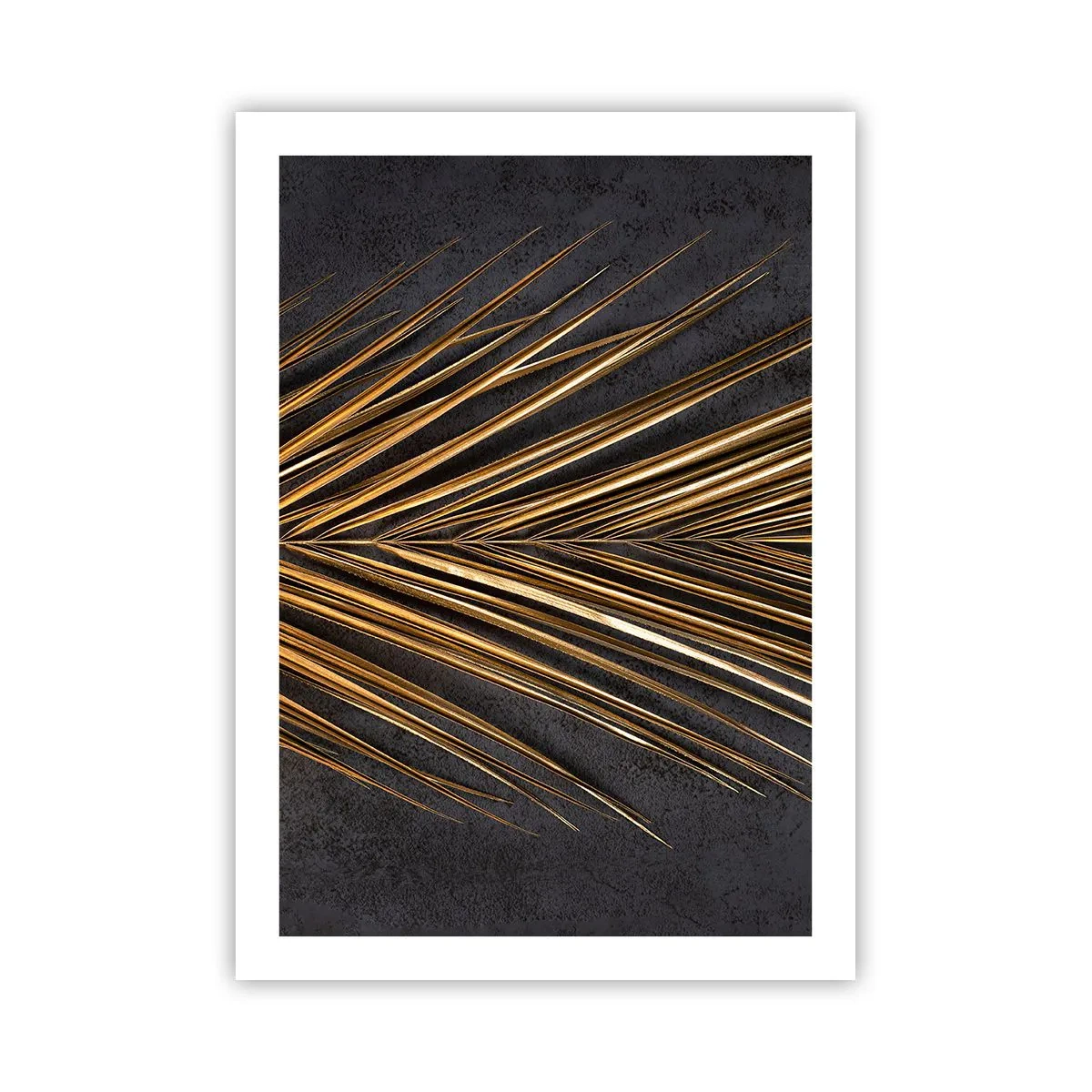 Plakát - Zlato tropů - 50x70 cm