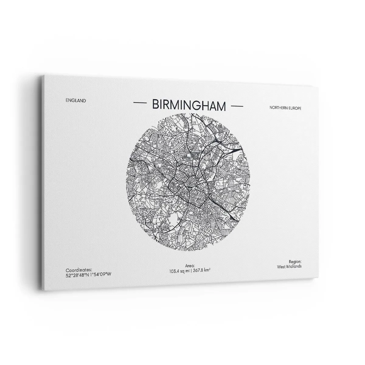 Obraz na plátně - Anatomie Birminghamu - 120x80 cm