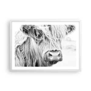 Plakát v bílém rámu - Skotská divokost - 70x50 cm