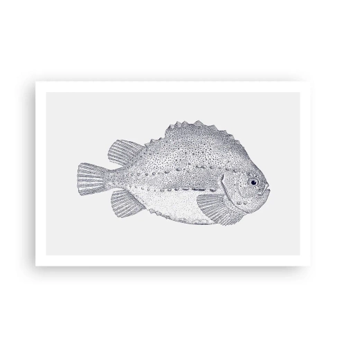 Plakát - Do alba přírodovědce - 91x61 cm