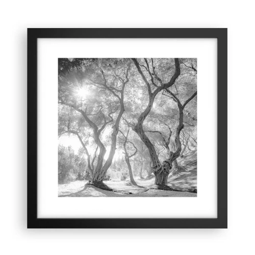Plakát v černém rámu - V olivovém háji - 30x30 cm