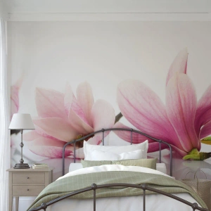 Fototapeta Standard Eco - Jemné jako závan jara - Květ, Magnólie, Příroda - 300x210 cm