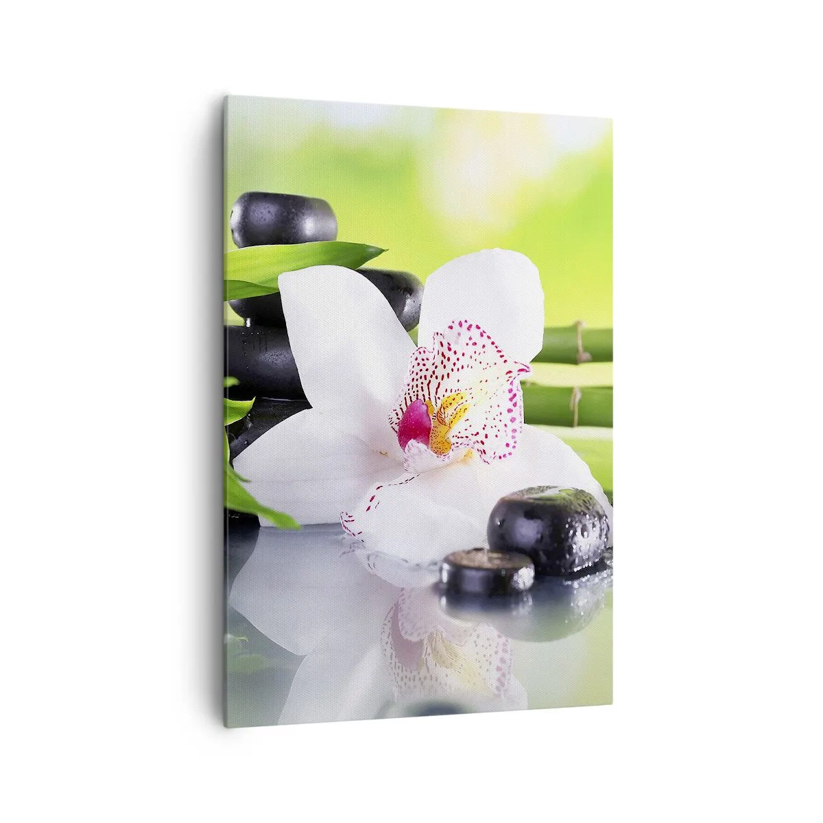 Obraz na plátně - Chladná svěžest - 70x100 cm