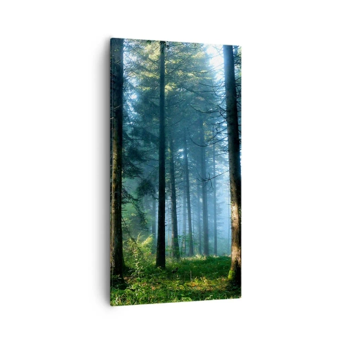 Obraz na plátně - Zářící za úsvitu - 55x100 cm