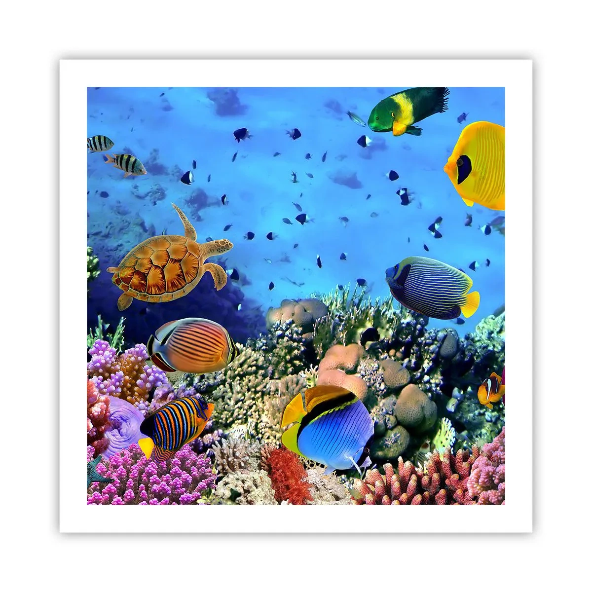 Plakát - Co víme o životě… - 60x60 cm