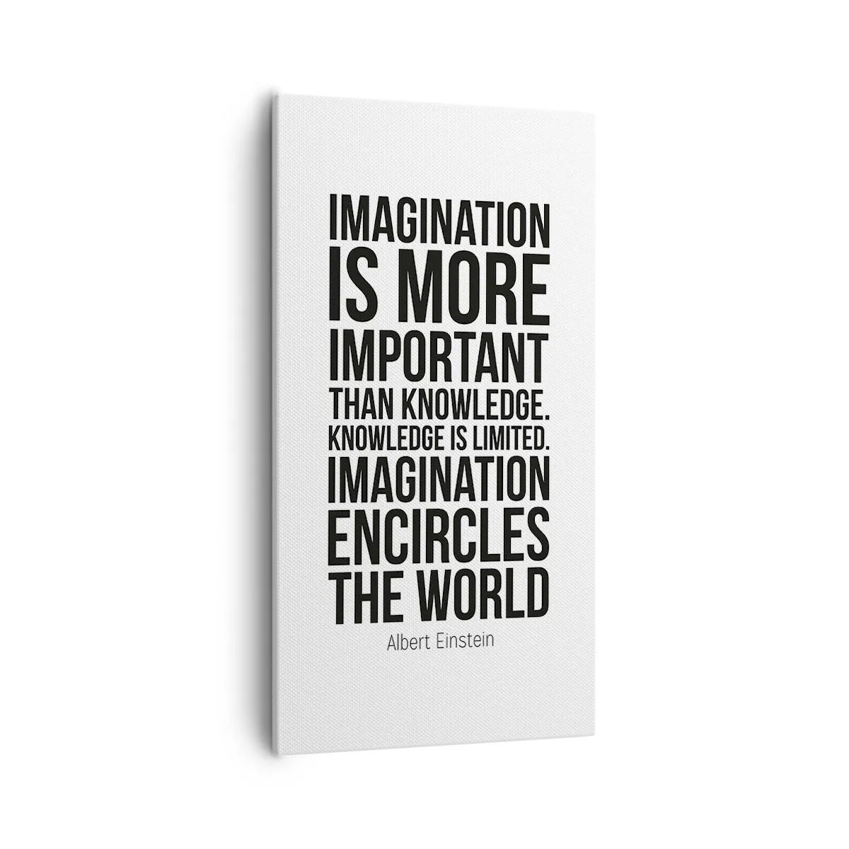 Obraz na plátně - Einstein o síle představivosti - 55x100 cm