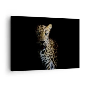 Obraz na plátně - Leopard na tmavém pozadí s intenzivním pohledem - 70x50cm - Temná krása - Moderní nástěnná dekorace do obývacího pokoje a ložnice ARTTOR