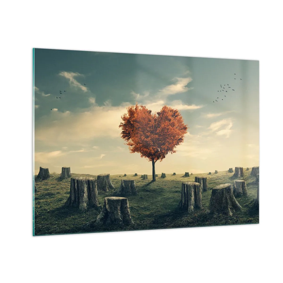 Obraz na skle - Pořád je ještě naděje - 100x70 cm