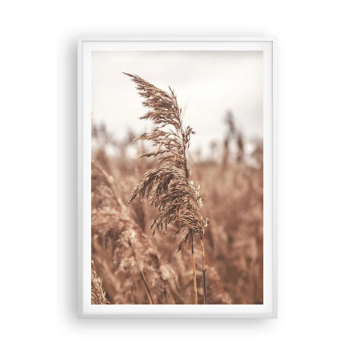 Plakát v bílém rámu - Na polích už je podzim - 70x100 cm