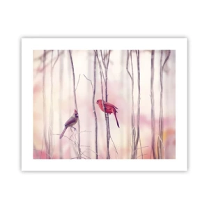 Plakát - Příběh růžového lesa - 50x40 cm