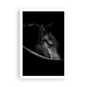 Plakát - Černý kníže - 61x91 cm